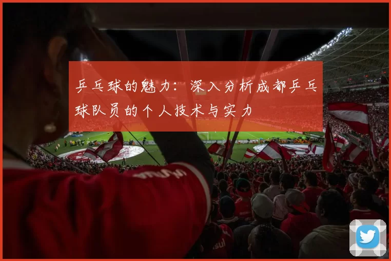 乒乓球的魅力：深入分析成都乒乓球队员的个人技术与实力