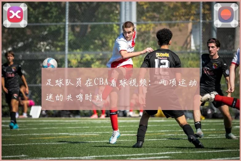 足球队员在CBA看球视频：两项运动迷的共鸣时刻