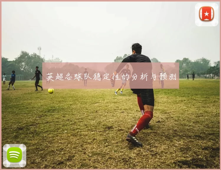 英超各球队稳定性的分析与预测