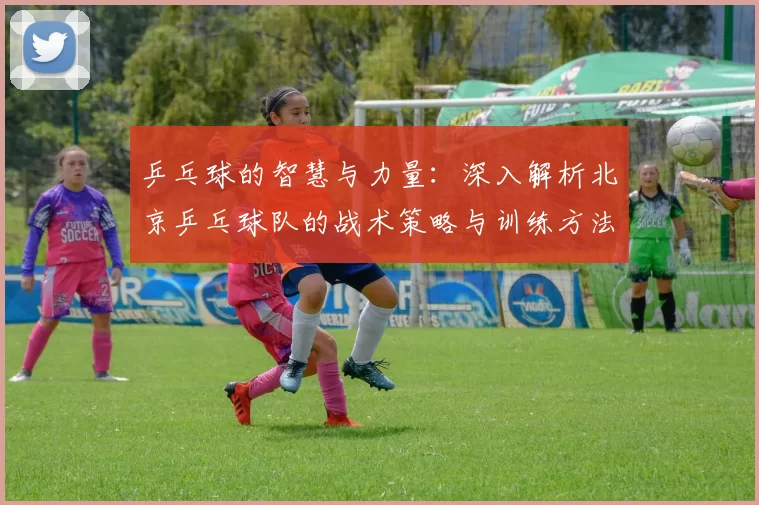 乒乓球的智慧与力量：深入解析北京乒乓球队的战术策略与训练方法