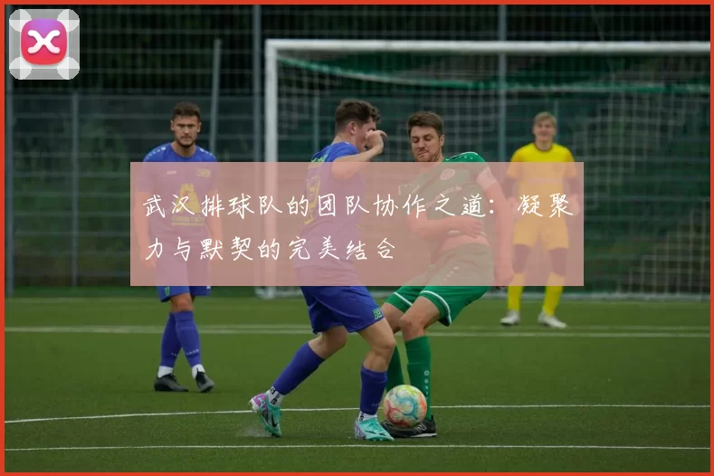 武汉排球队的团队协作之道：凝聚力与默契的完美结合