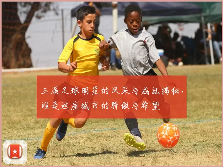 玉溪足球明星的风采与成就揭秘，谁是这座城市的骄傲与希望