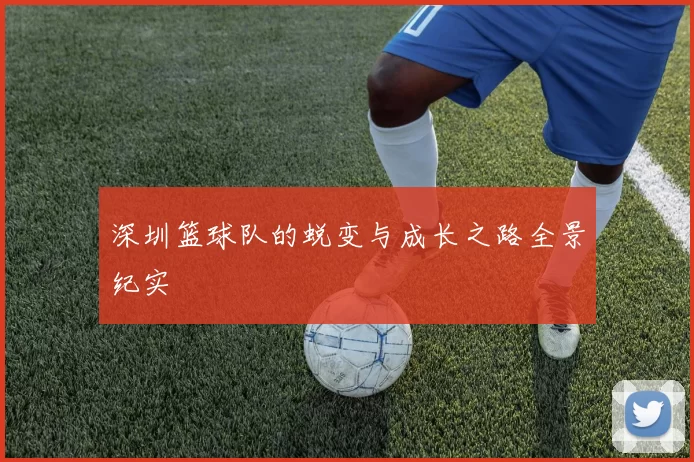 深圳篮球队的蜕变与成长之路全景纪实