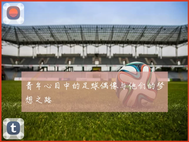 青年心目中的足球偶像与他们的梦想之路