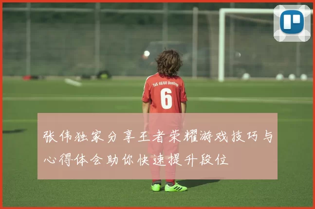 张伟独家分享王者荣耀游戏技巧与心得体会助你快速提升段位