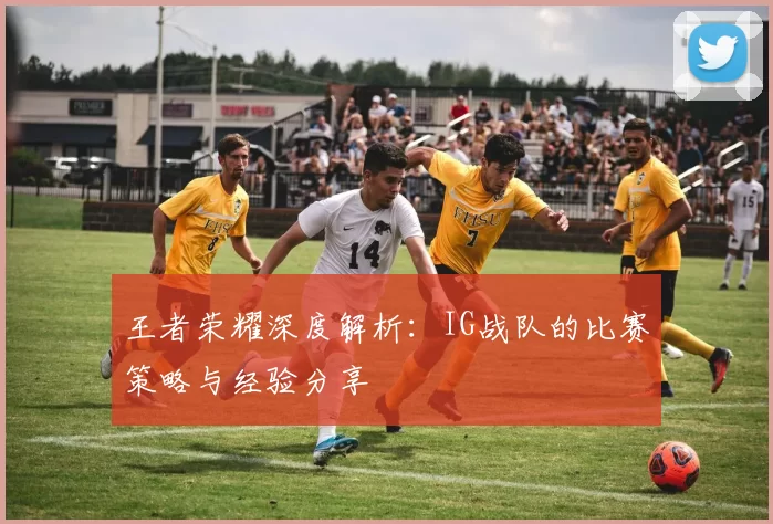 王者荣耀深度解析：IG战队的比赛策略与经验分享