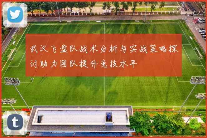 武汉飞盘队战术分析与实战策略探讨助力团队提升竞技水平