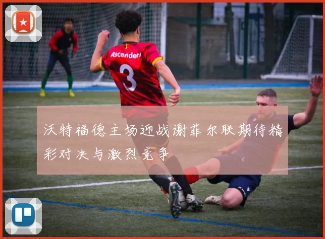 沃特福德主场迎战谢菲尔联期待精彩对决与激烈竞争