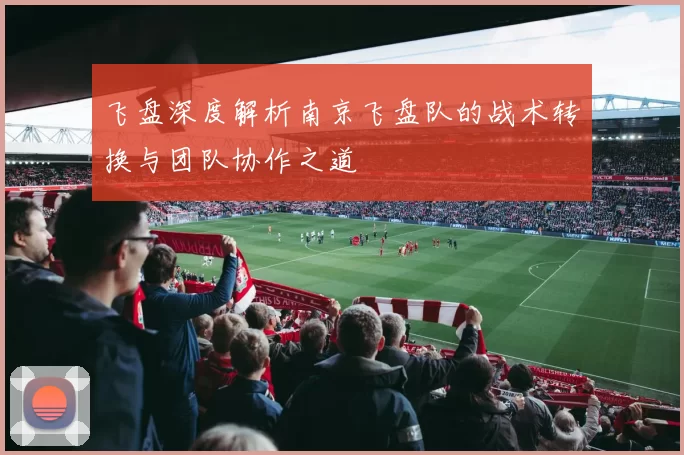 飞盘深度解析南京飞盘队的战术转换与团队协作之道