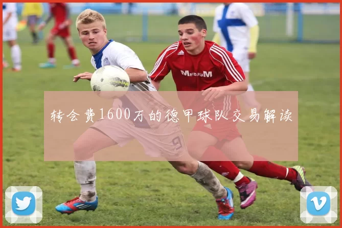 转会费1600万的德甲球队交易解读
