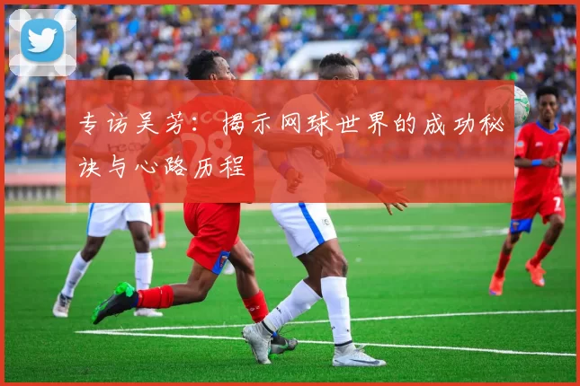 专访吴芳：揭示网球世界的成功秘诀与心路历程