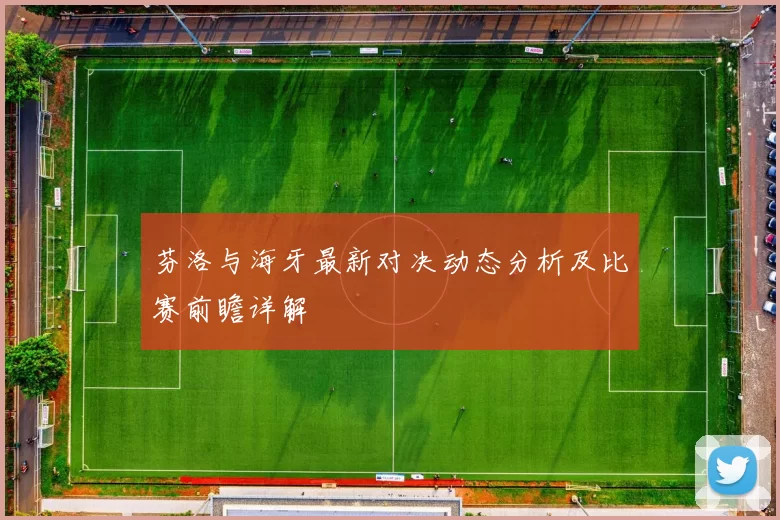 芬洛与海牙最新对决动态分析及比赛前瞻详解