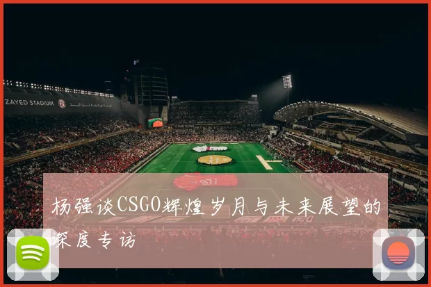 杨强谈CSGO辉煌岁月与未来展望的深度专访