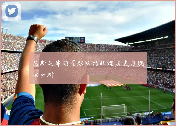尼斯足球明星球队的辉煌历史与现状分析