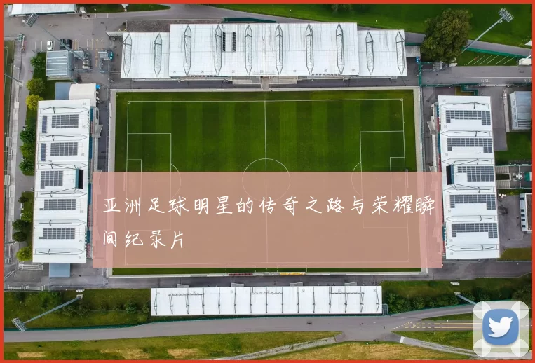 亚洲足球明星的传奇之路与荣耀瞬间纪录片