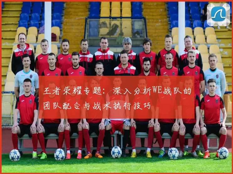 王者荣耀专题：深入分析WE战队的团队配合与战术执行技巧