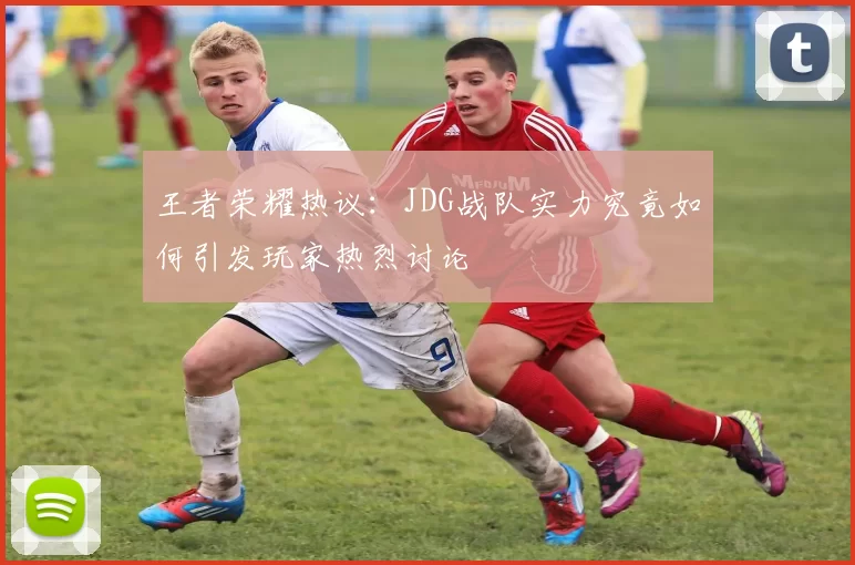 王者荣耀热议：JDG战队实力究竟如何引发玩家热烈讨论
