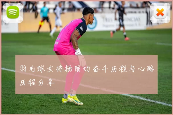羽毛球女将杨丽的奋斗历程与心路历程分享