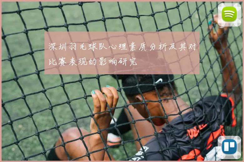 深圳羽毛球队心理素质分析及其对比赛表现的影响研究