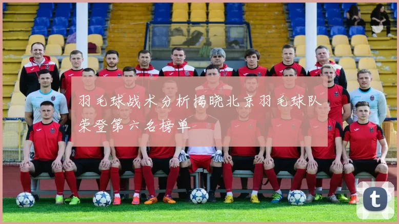 羽毛球战术分析揭晓北京羽毛球队荣登第六名榜单